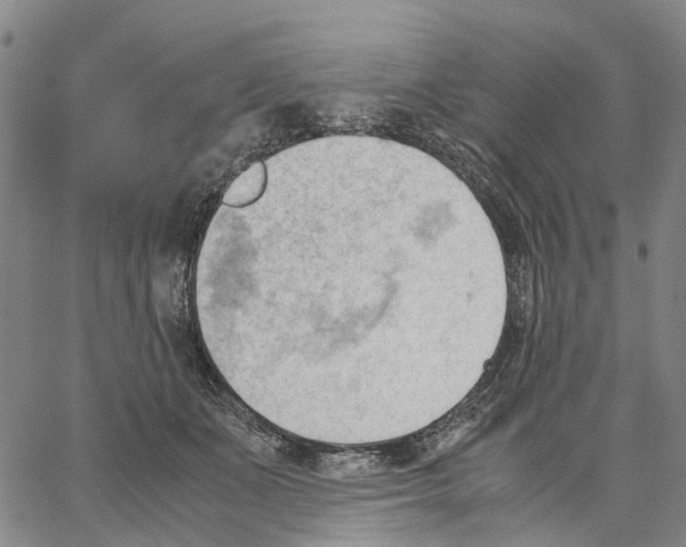 X0000062870511200602101655