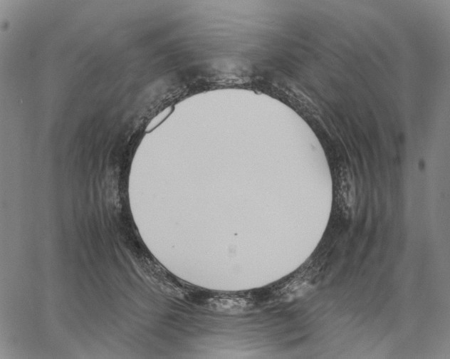 X0000062870512200602101655