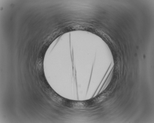 X0000062870513200602101655