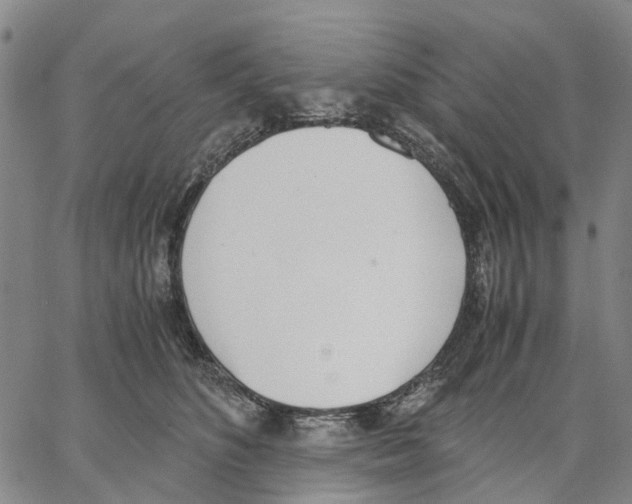 X0000062870516200602101655