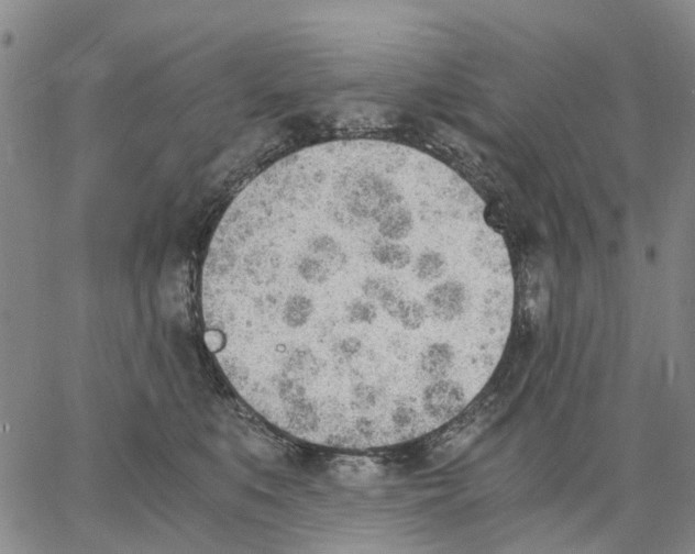 X0000062870519200602101655