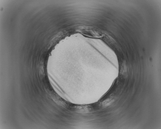 X0000062870524200602101654