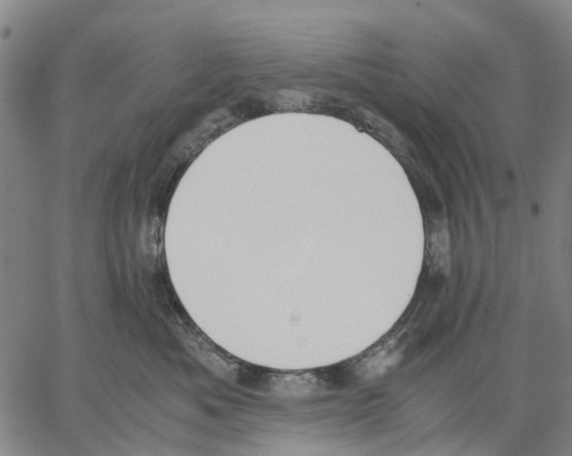 X0000062870525200602101654