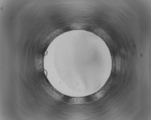 X0000062870526200602101654