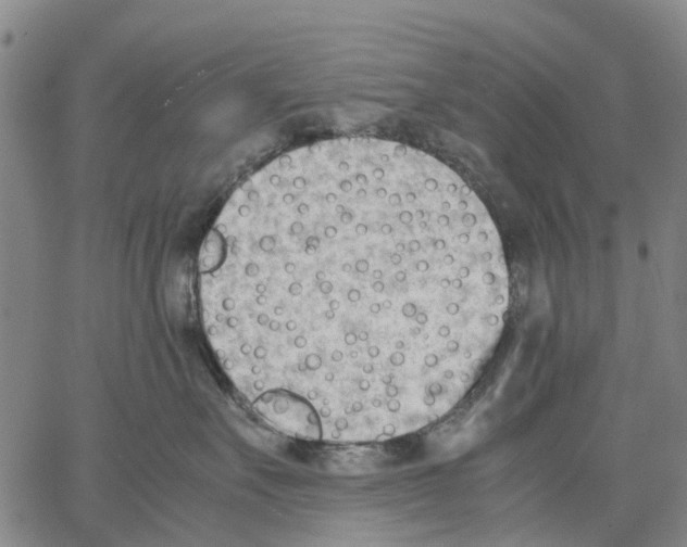 X0000062870527200602101654