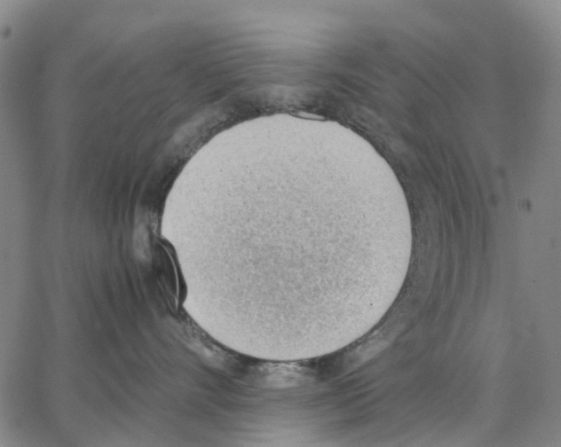 X0000062870528200602101654