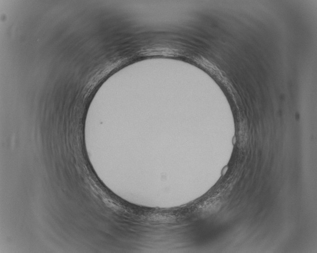 X0000062870529200602101654