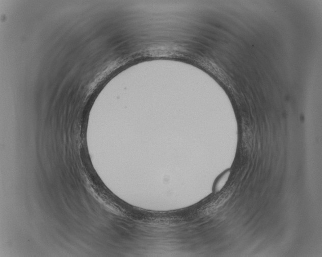 X0000062870530200602101654