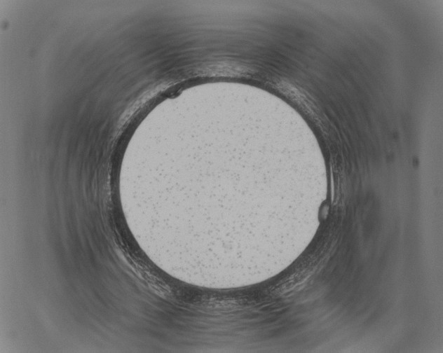 X0000062870531200602101654