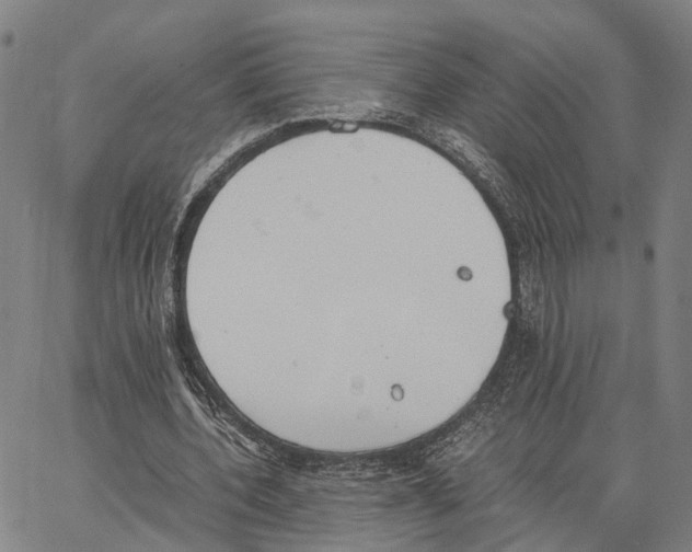 X0000062870532200602101654