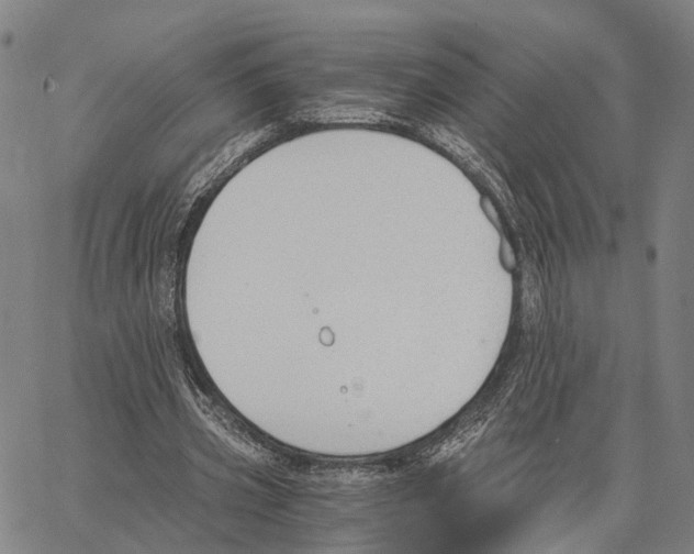 X0000062870533200602101654