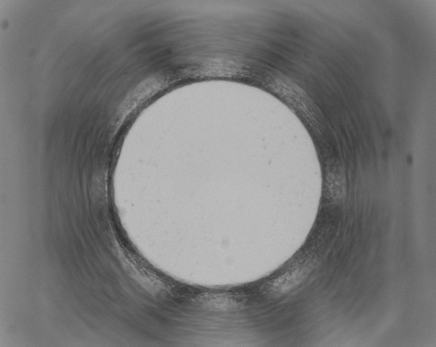 X0000062870534200602101654