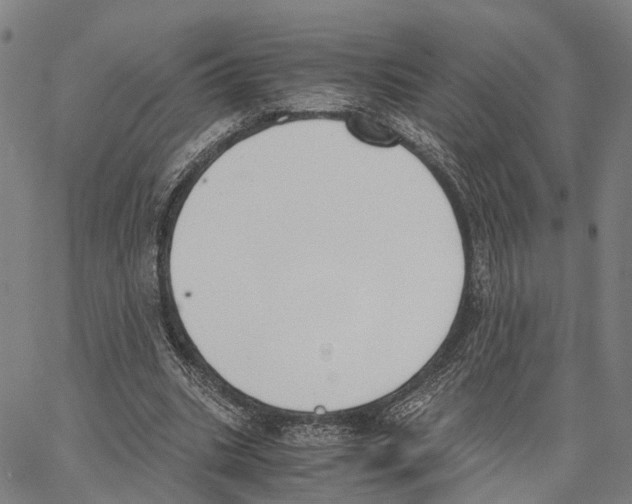 X0000062870535200602101654