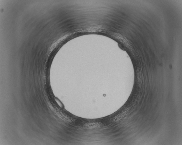 X0000062870536200602101654