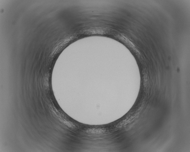 X0000062870537200602101654