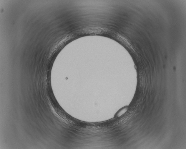 X0000062870538200602101654