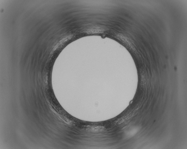 X0000062870539200602101654