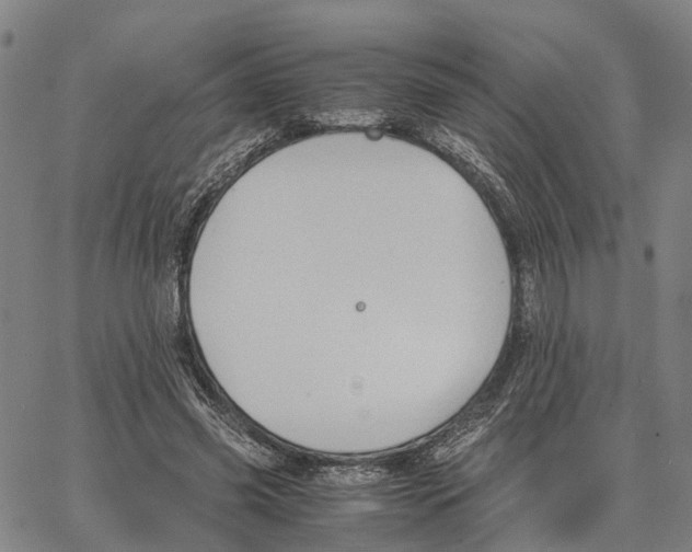 X0000062870541200602101654