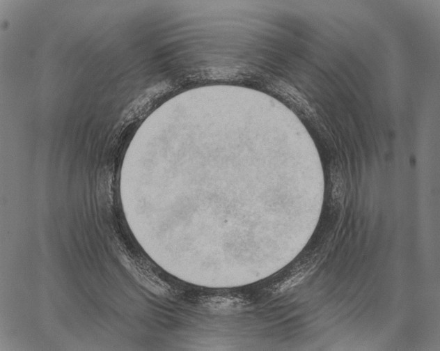 X0000062870542200602101654