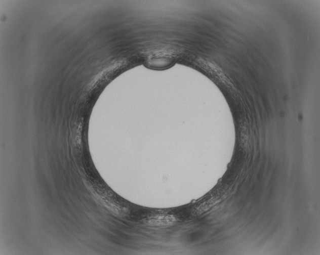 X0000062870543200602101654