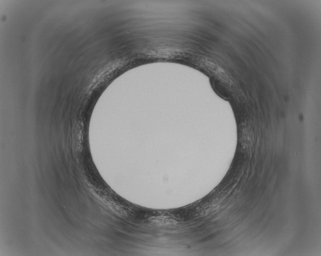 X0000062870544200602101654