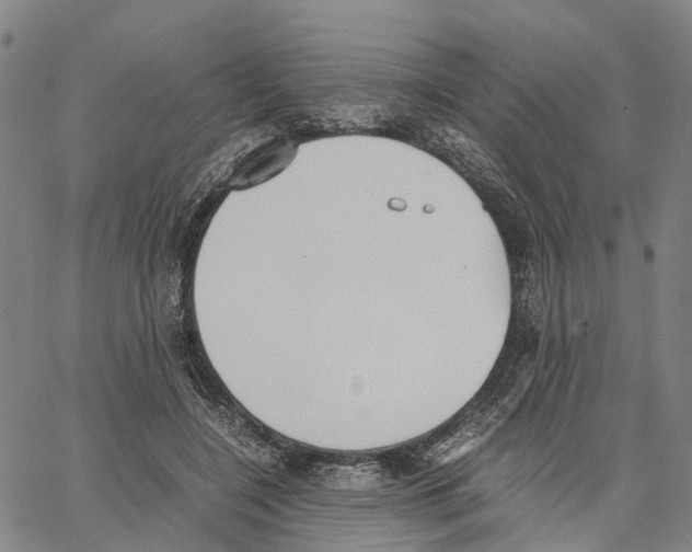 X0000062870548200602101654