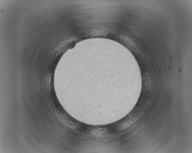 X0000062870550200602101654