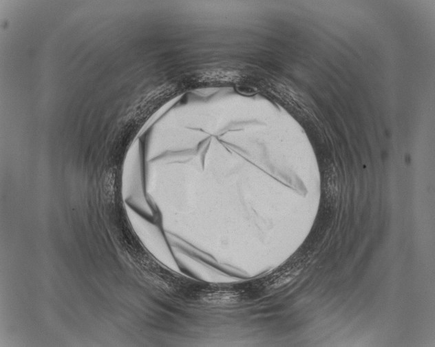 X0000062870551200602101654