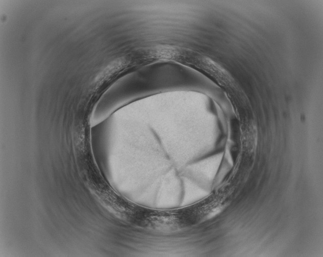 X0000062870552200602101654