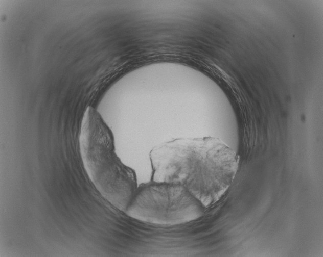 X0000062870553200602101654