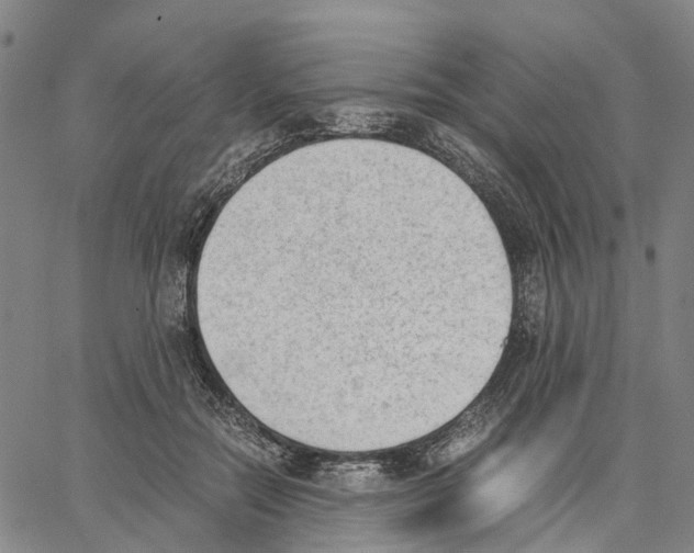 X0000062870554200602101654