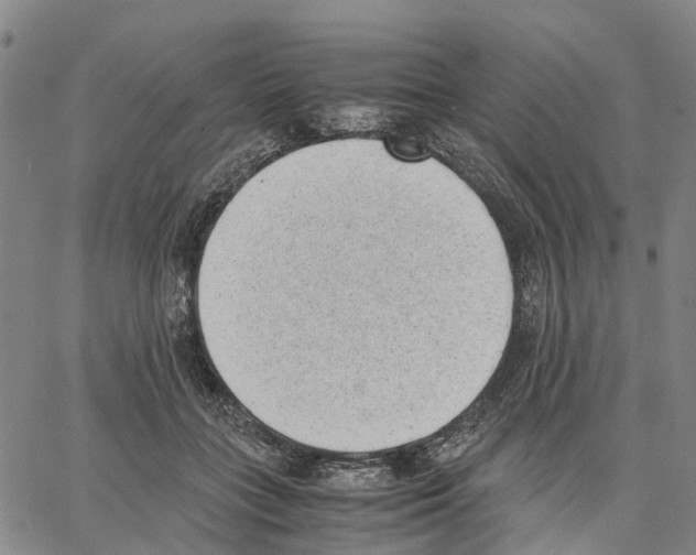 X0000062870555200602101654