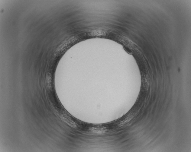 X0000062870556200602101654