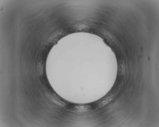 X0000062870558200602101654