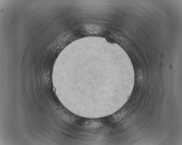 X0000062870559200602101654