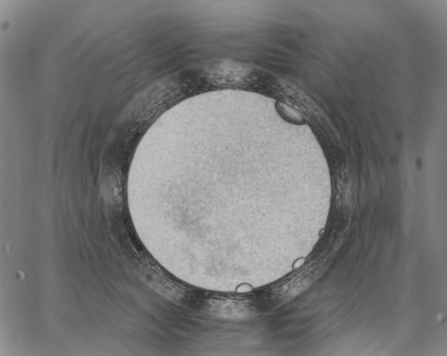 X0000062870561200602101654