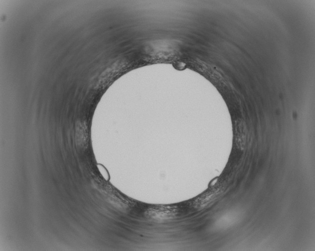 X0000062870563200602101654