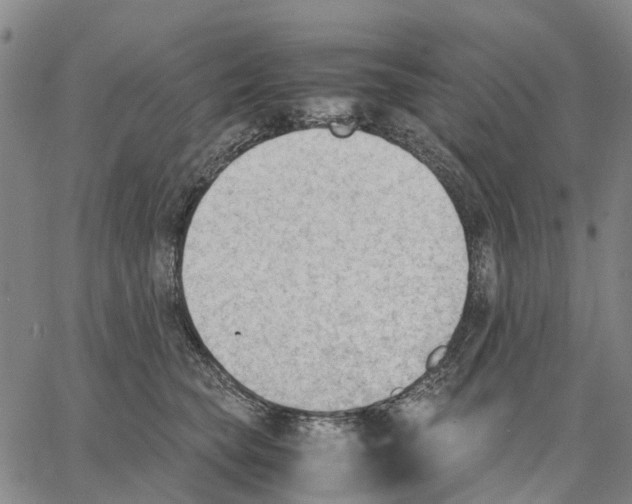 X0000062870565200602101654