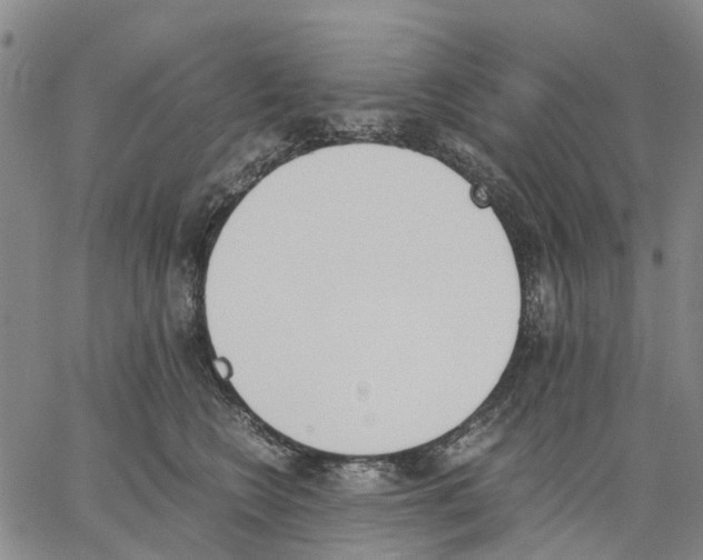 X0000062870566200602101654