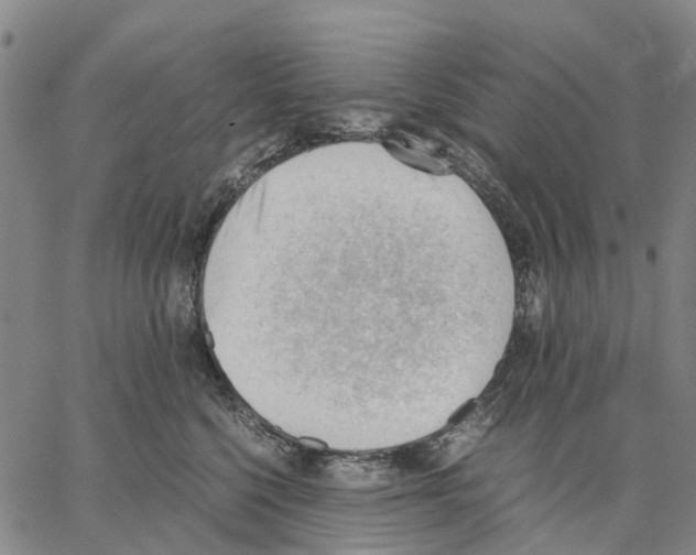 X0000062870568200602101654