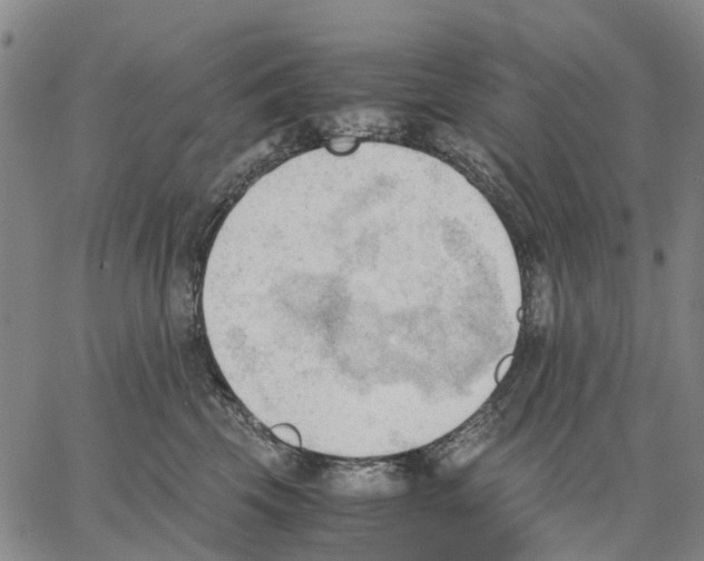 X0000062870569200602101654