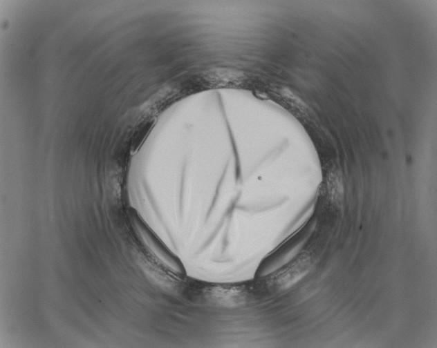 X0000062870570200602101654