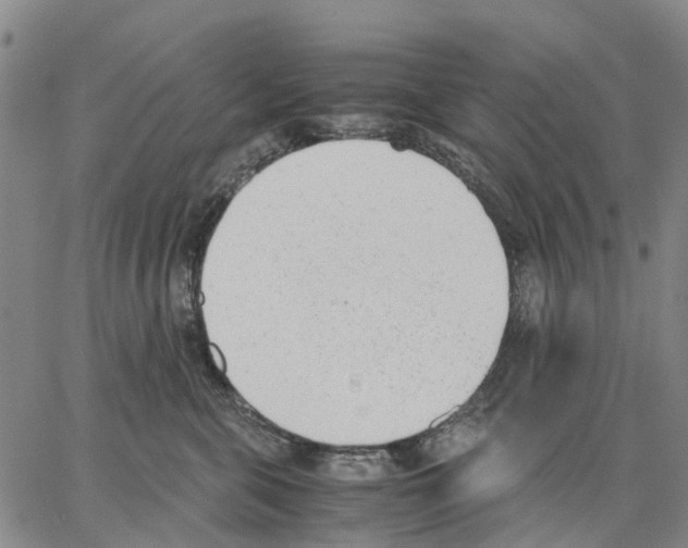 X0000062870571200602101654