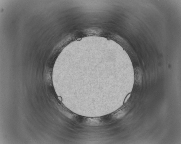 X0000062870573200602101654