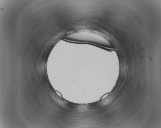 X0000062870574200602101654