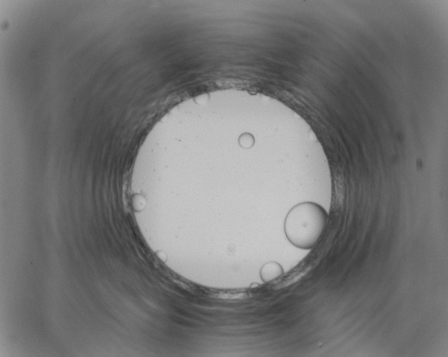 X0000062870575200602101654