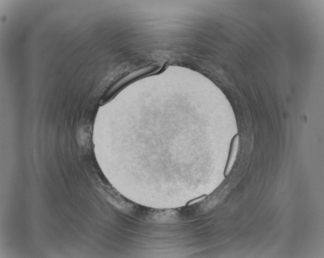 X0000062870576200602101654