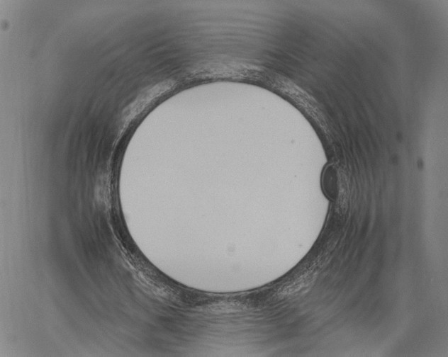 X0000062870578200602101654