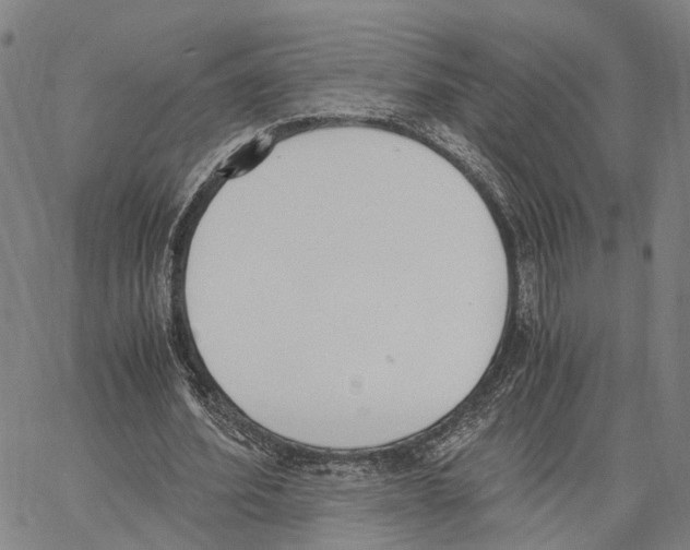 X0000062870580200602101654