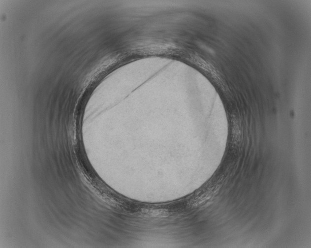 X0000062870582200602101654